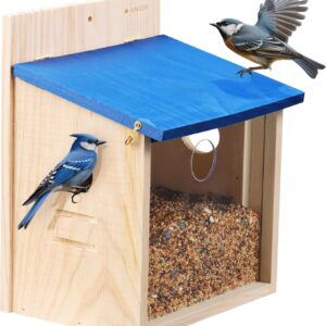 Navaris Wooden Bird Feeder House - Wall Mounted Garden Decor for Birds with Blue Roof - Outdoor Feeding Station with Exchangeable Wood and Clear Front Panels