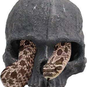 Snake Hideout, Reptile Aquarium Skull Decor, Resin Skeleton Head Fish Hide, Tank Terrarium Aquarium Accessories, Reptile Hides and Caves for Fish Bearded Dragon Salamander Ball Python Leopard Gecko