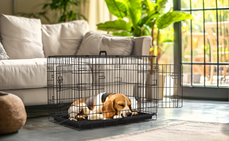 dog cage L