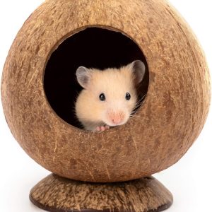 andwe Coconut Hut Hamster House Bed for Gerbils Mice Small Animal Cage Habitat Decor