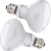 vsshe Basking Spot Lamp, 2 Pack 50W Reptile Heat Bulb, Tortoise Heat Lamp, Natural Light Basking Bulb Light Heat Lamp for Reptiles, Amphibian, Chicks, Puppies Heating Use (White)